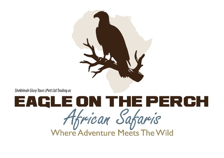 Eagle On The Perch logo
