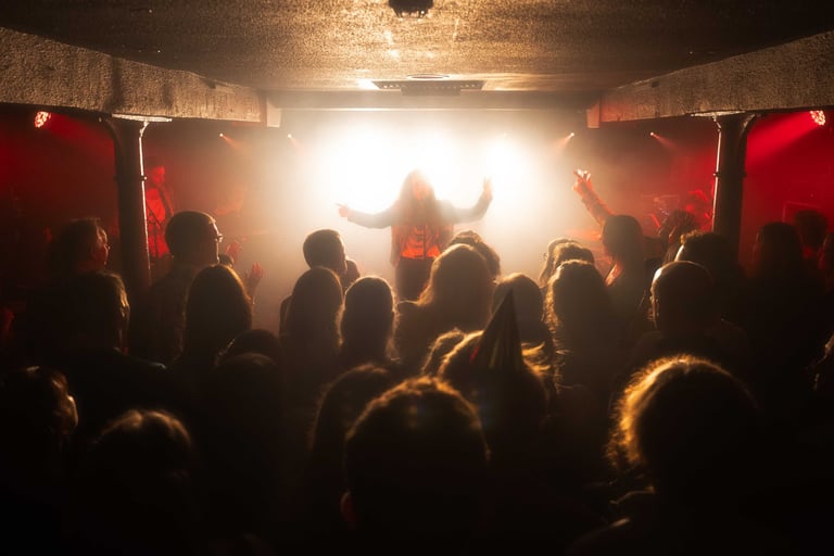 a contrasty image of a singer performing to a crowd