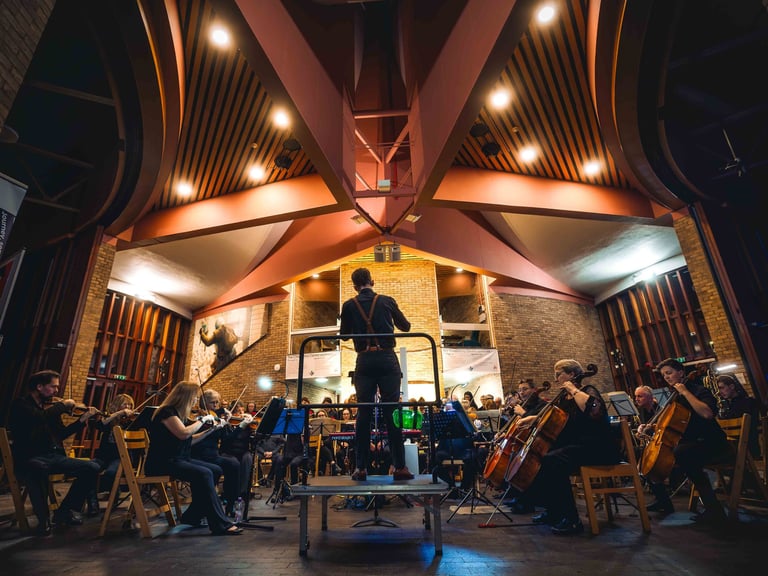 A wide photo of a concert hall with an orchestra playing