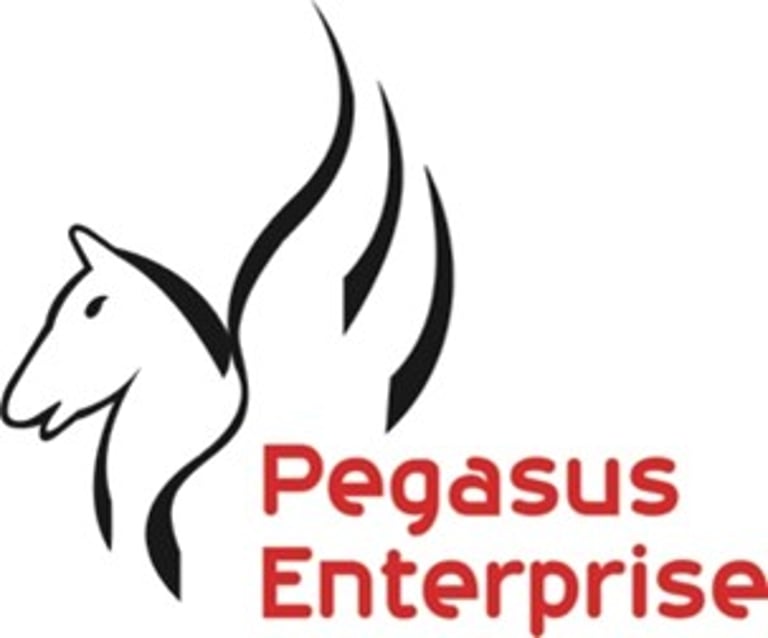 Pegasus Enterprise logo