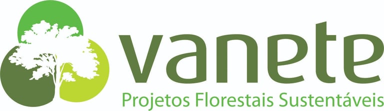 VerdeRaiz logo