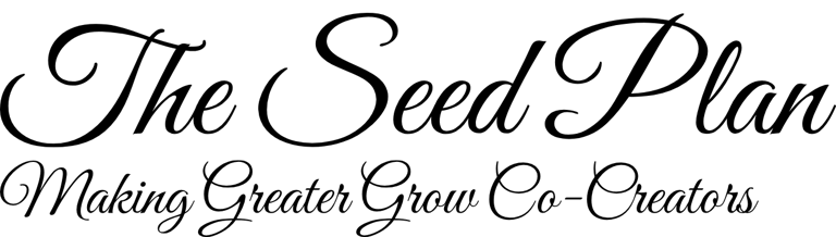 Starseed Studio 17 logo