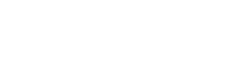 Lumea Covoarelor logo