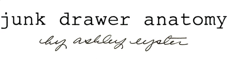 Junk Drawer Anatomy logo