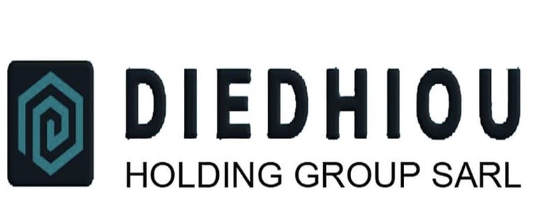 DIEDHIOU HOLDING GROUP SARL logo