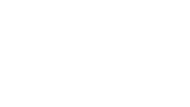 Luness Libras logo