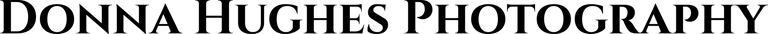 Donna Hughes Photography logo