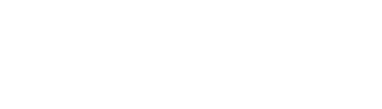 WSB International GmbH logo