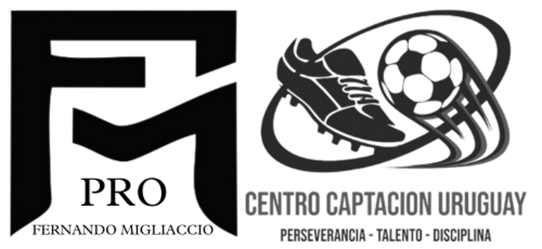 Fernando Migliaccio Pro logo