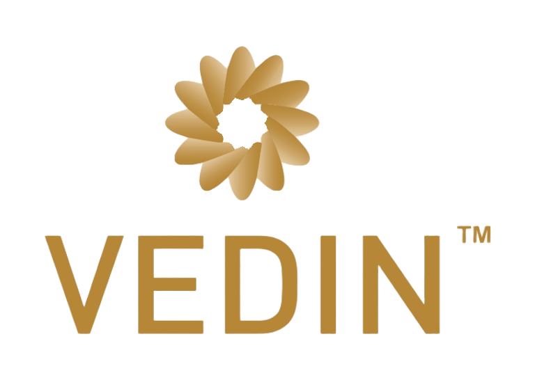 VEDin Global Foods and Beverages logo