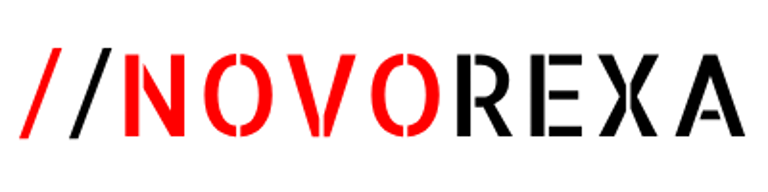 NextSteg logo