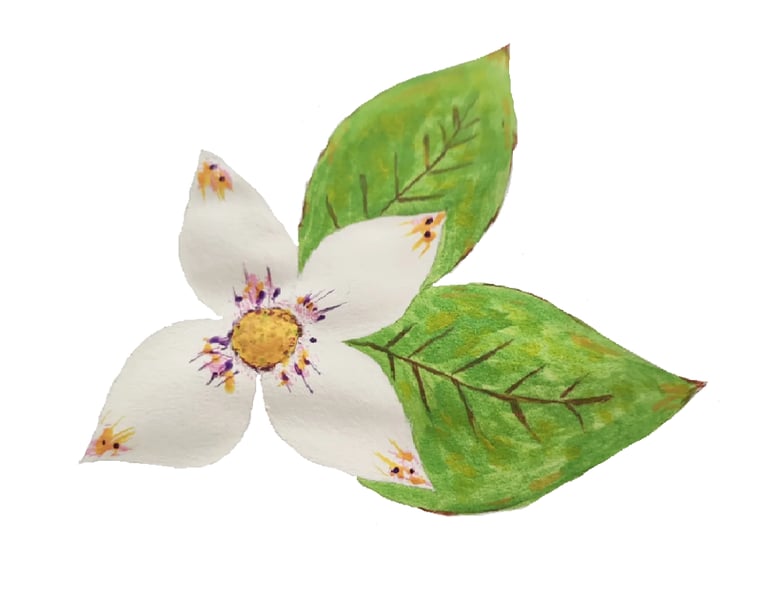 Margot à l'écoute : Ecoute et Soutien Psychologique  logo