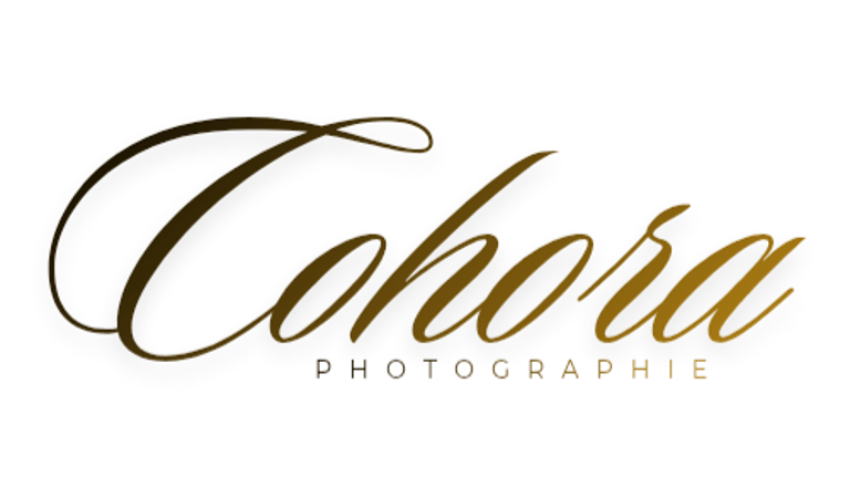 Cohora Pix logo