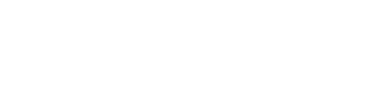 Sentinel Spotting Safety 1st Electrical Spotters Melbourne Victoria logo