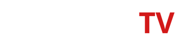 StreamVibe logo