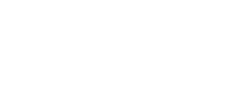 Vernis logo