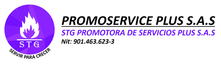 STG PROMOTORA DE SERVICIOS PLUS  logo