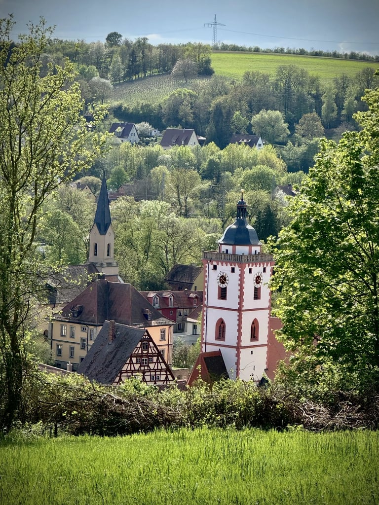 aussicht auf marktbreit vom eigenen weinberg