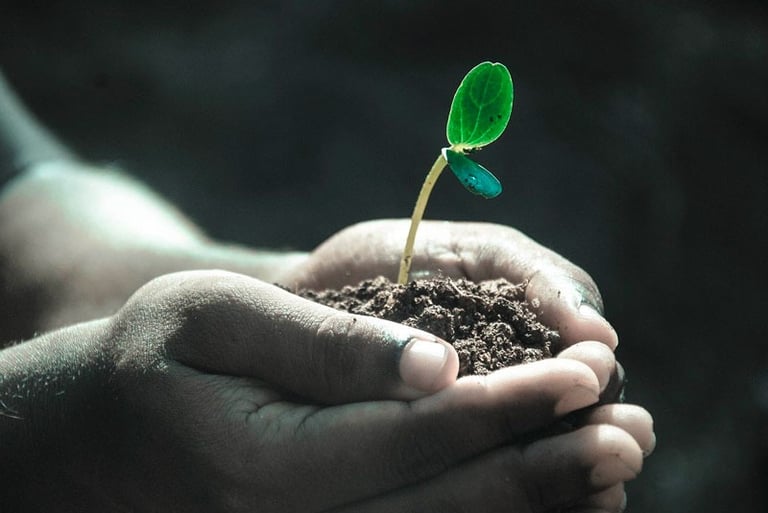 Produits de nettoyage écologiques utilisés par MultiServices Express Ménage Inc. pour un entretien m