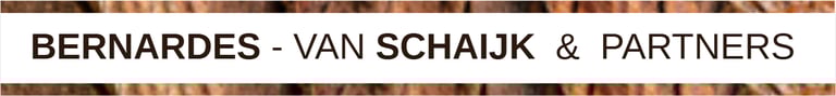 Bernardes-van Schaijk & Partners / Arquitetura-Gerenciamento de Obra e Maquetes logo