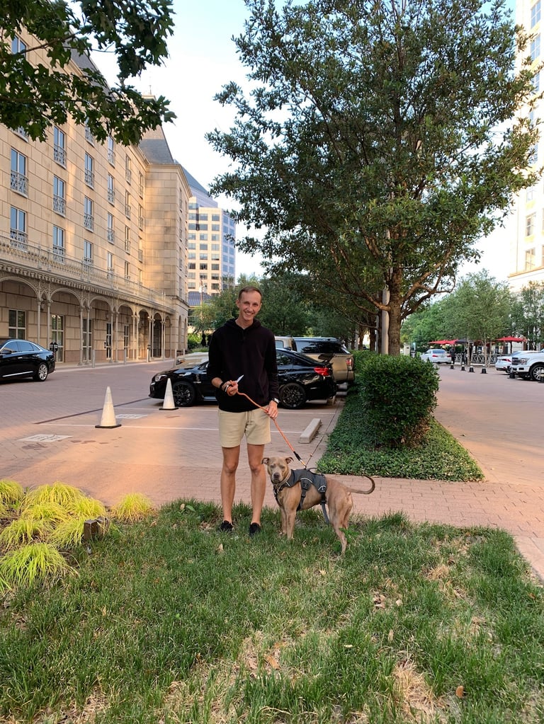 A man stands on a grassy area holding a leashed dog on a city sidewalk.