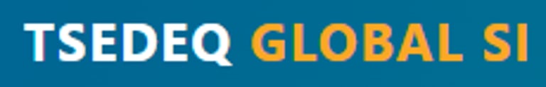 TSEDEQ GLOBAL SOURCING INTERNATIONAL logo