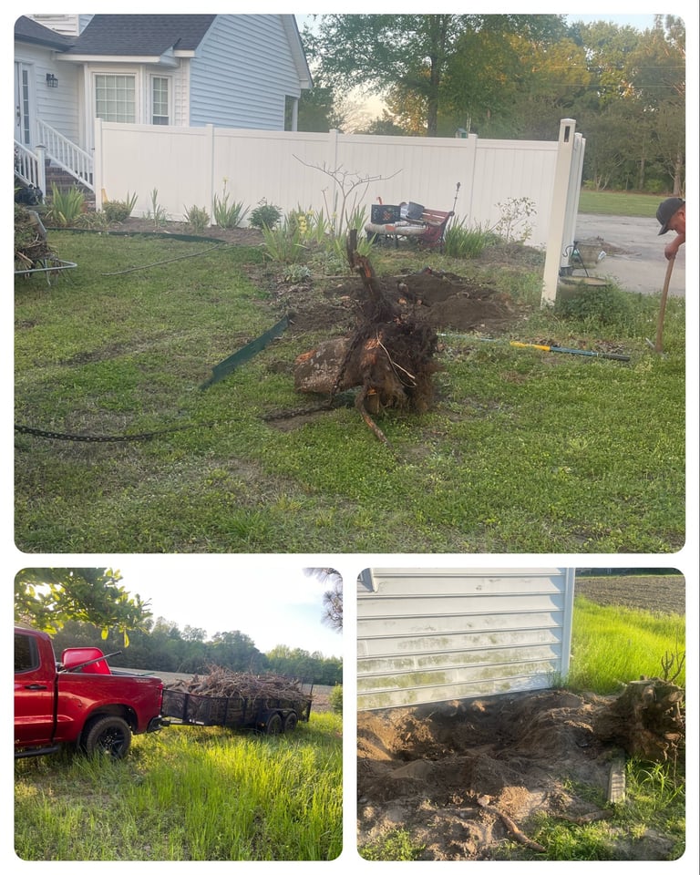 Wilson NC Lawn Care Services | Rubio's Lawn Care & Landscaping