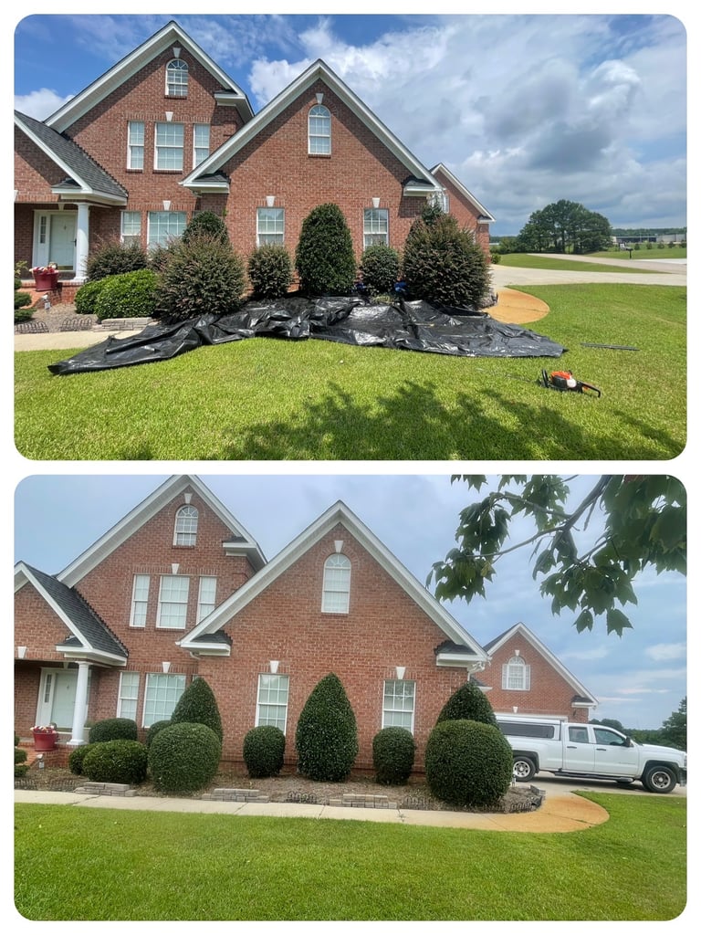 Wilson NC Lawn Care Services | Rubio's Lawn Care & Landscaping