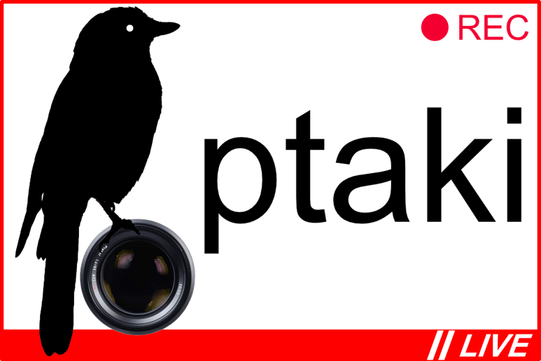 WildLens logo