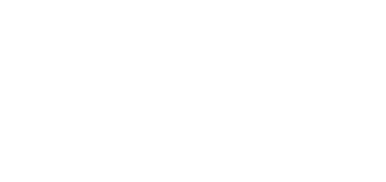 Shannon Schulz Research logo