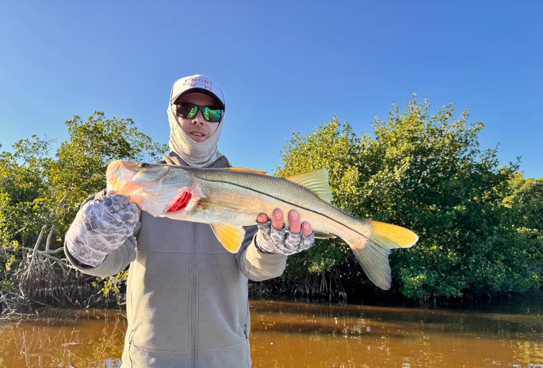 Winter time Snook, deep in the Everglades.
