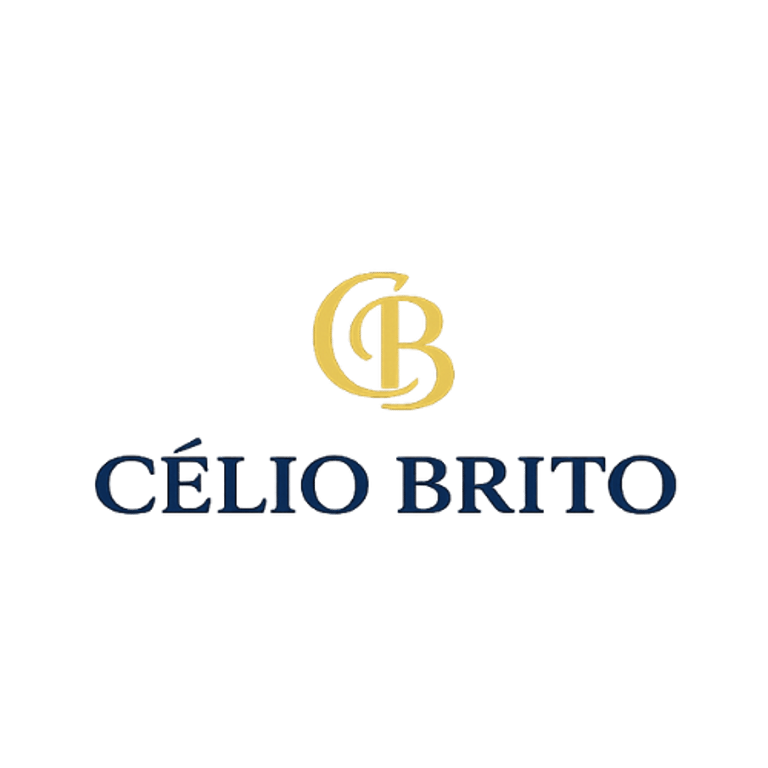 Brito Growth Strategies logo