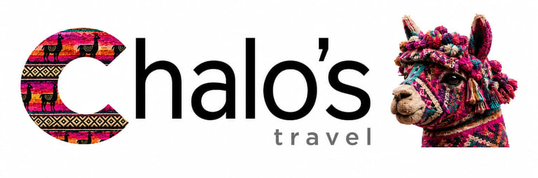 AndesViva logo