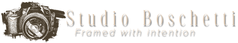 Studio Boschetti logo