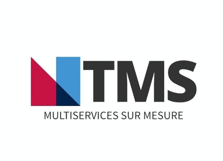 NTMS - NT-Services logo