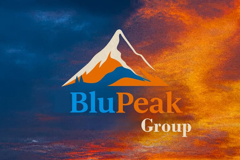 BluPeak Group logo