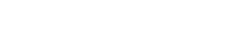 ADRIANNA FERETTI logo
