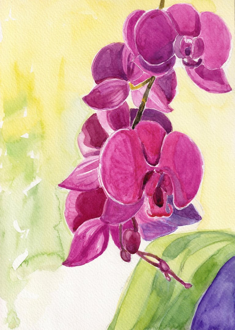 Watercolor painting of magenta pink orchid blossoms on a stem against a soft yellow-green background, by Julie Diehl