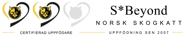S*Beyond logo