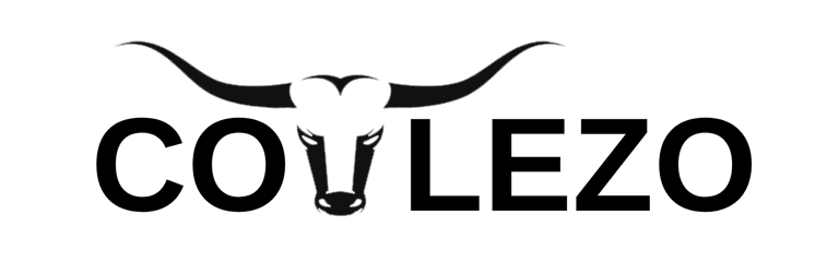 Sporiva logo