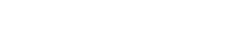 Nordstern Consulting logo