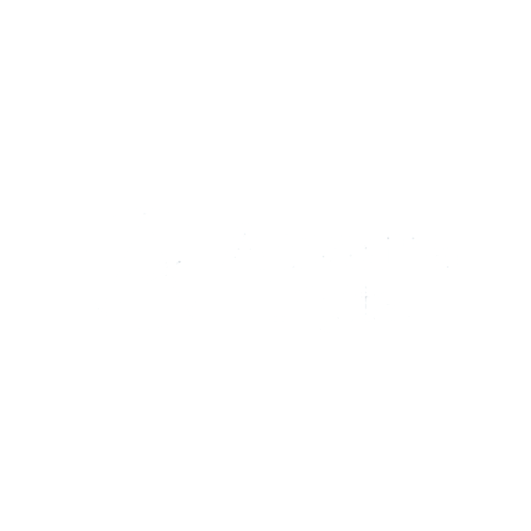 Adverra Digital logo