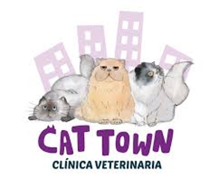 Cat Town logo