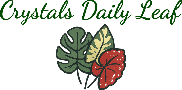 Crystals daily leaf logo