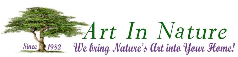 Art in Nature logo