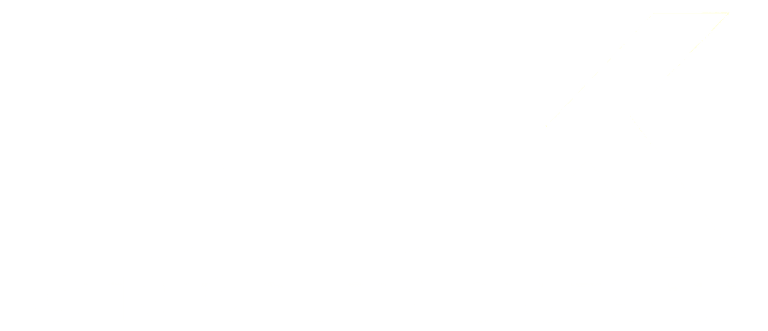 BBK Nexus logo