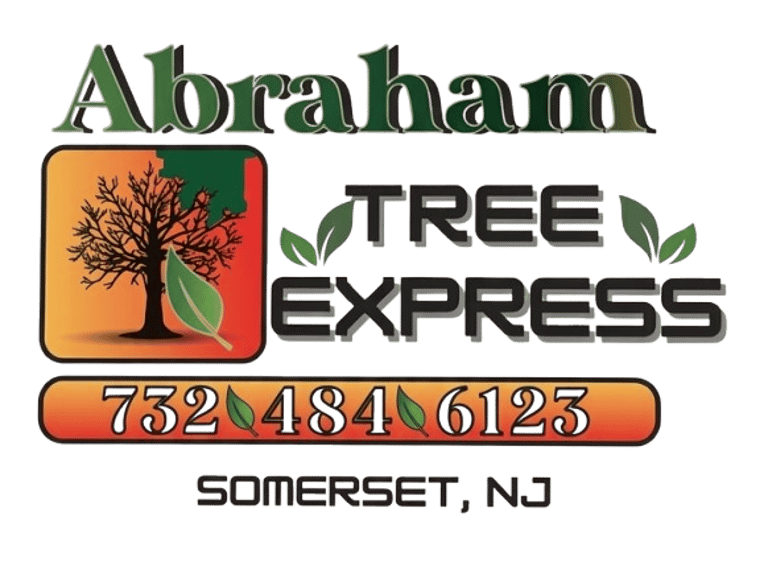 Abraham Tree Express logo