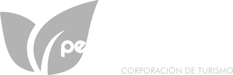 PERLA DEL INGRUMA RIOSUCIO CALDAS logo