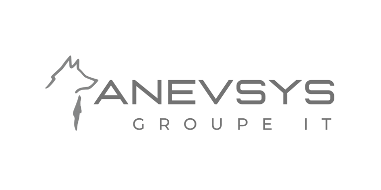 ANEVSYS Groupe IT logo