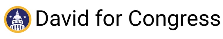 David for Congress logo